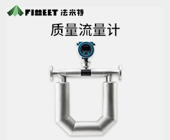 科里奧利質(zhì)量流量計（型號ZL01-FMT）
