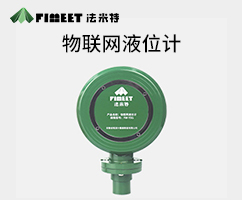 物聯(lián)網(wǎng)液位計（型號FM-YSG）